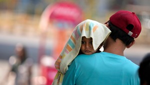 Extrémne horúčavy si za tri dni vyžiadali až 50 životov