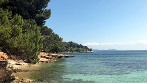 Vedci objavili na dne oceánov baktérie, ktoré môžu pomôcť vyriešiť celosvetový problém