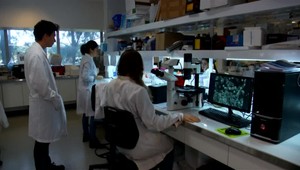 Vedkyňa sa zúčastnila vedomostnej súťaže. Vyhrala slušné peniaze na svoj výskum