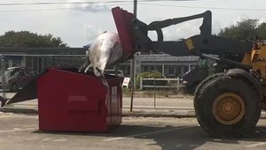 Biológovia chceli 2 tony vážiacu a 5 metrov dlhú veľrybu naložiť do malého kontajnera. Vypadla im