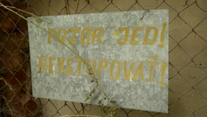 Od januára je vyhlásená mimoriadna situácia pre PCB látky, krízový štáb a politici sú ale ticho