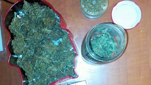 Trojnásobný zásah polície na hudobnom festivale. Traja mladíci skončili obvinení