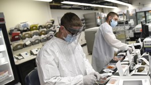 Japonská biotechnologická firma používa malé červy na testovanie rakoviny pankreasu