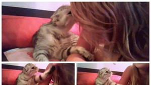 Pobozkaj ma, prosí najmilujúcejšia mačka sveta