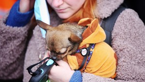 V dome horskej služby sa rozrastá ukrajinská zvieracia rodina