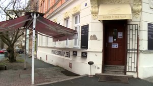 Znásilnenie a pokus o vraždu. Mladý Afgánec na Nový rok besnil v Česku