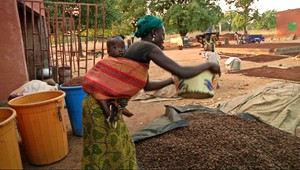 Bambucké maslo: Exotický recept na krásu!