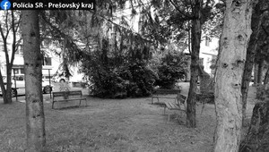 Desivá dráma v popradskom parku: Podgurážený pár uškrtil muža (†57)