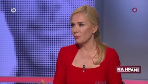 Pellegrini sa ospravedlňuje za Sakovej výroky o Ukrajine: Bola to len jej úvaha, nie oficiálny postoj strany, tvrdí