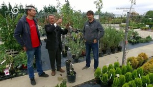 Slovensko smúti: Zomrel významný profesor a ikonický záhradkár Ivan Hričovský (†92) !