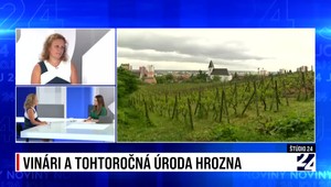 Štúdio 24: Vinári a tohtoročná úroda hrozna