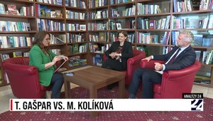 Koalícia sa chce zbaviť Kolíkovej. Gašpar tvrdí, že exministerka zavádzala verejnosť