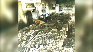 Desivé zábery z gymnázia pre nadané deti. Do tla zhorela nielen zborovňa