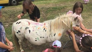 FOTO: Deti na festivale pomaľovali poníka. Ľudia hovoria o týraní