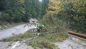 Traja mŕtvi, tisíce domácností bez elektriny a problémy v doprave. Strednou Európu sa prehnal silný vietor