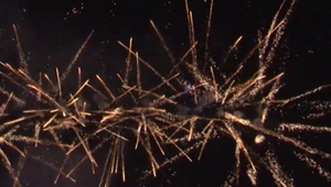 Pre ľudí zábava, pre zvieratá strach. Zábavná pyrotechnika stála psíka život