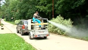 Obyvateľov Záhoria trápia komáre. Postreky vraj neboli dostatočné