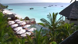 Tragédia na Zanzibare: 8 detí zomrelo po konzumácií korytnačieho mäsa