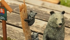 Netradičný festival medveďov na Hrebienku  je tento rok v  eko formáte