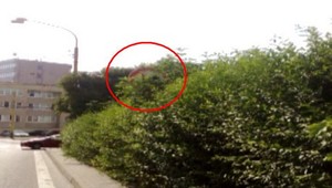 Značka zarastená burinou? Vaša vina, ak si ju nevšimnete!