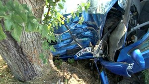 Vysokoškolák (19) neprežil náraz do stromu