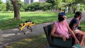 V Singapure varuje okoloidúcich robotický pes, aby dodržiavali sociálny odstup
