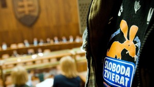 Poslanci hlasovali ostošesť. A nadávali si do hlupákov