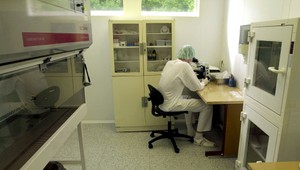 Vyšetrovanie biznisu s pupočníkovou krvou skončilo. Takéto sú závery