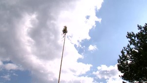 Stavanie mája sa skončilo tragédiou, o život prišiel mladý muž