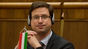 Nemožno vylúčiť umelý pôvod vírusu slintačky a krívačky, tvrdí Gulyás