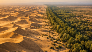 Čína postavila nový „Veľký múr“: Nie z kameňa, ale zo stromov