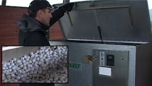 Kuriózny lup! Z ihriska zmizlo 6000 golfových loptičiek