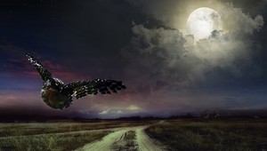 Na chránenom území sa vyskytol jed, otrava ohrozuje dravcov