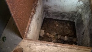 Výkaly, špina a zápach sú každodennou realitou pre obyvateľov bytovky v Michalovciach