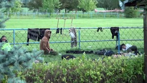 Situácia s migrantmi je vážna: Štáb TV JOJ sa preto bol pozrieť priamo vo Veľkom Krtíši