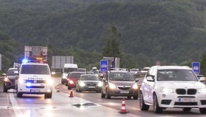 V centre mesta skrížila vodičovi cestu srna