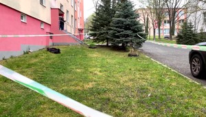 Rodinná tragédia: Najprv zomrela mladá žena, potom aj jej matka. Obidve skočili z okna bytu na treťom poschodí