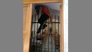 Naháňačka sa nekonala. Zlodej, ktorý kradol v kostole, sa chytil sám