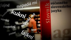 Moderná slovenčina. Čeknite článok!