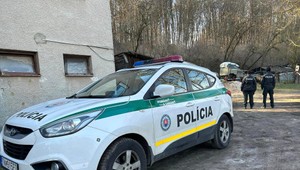 Sokovi v láske poškodil automobil a ukradol mu značky