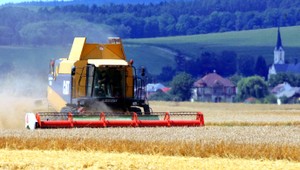 Zlodej (59) kradol kukuricu. Prišiel o nohu a hrozba basy...,