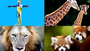 Supertvor. Príroda ho našťastie nestvorila