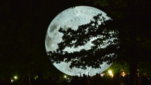 Pozrite sa v noci na nebo! Supermesiac bude žiariť uprostred oblohy