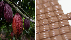 Milovníci čokolády, spozornite: Ceny kakaa trhajú rekordy