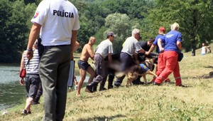 V Malom Dunaji sa našlo telo. Patrí hľadanému vrahovi?