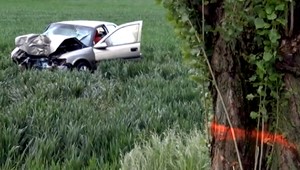 Piati kolegovia sa vracali z práce, po náraze do stromu skončili v nemocnici