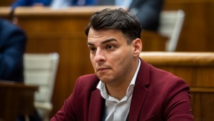 Podľa Polláka sa nevyhneme sankcii za nedostatočnú inklúziu rómskych detí, Gröhling viní OĽaNO