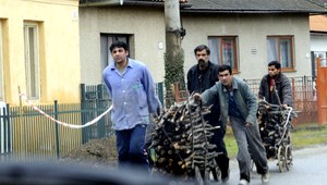 Osadníci nechápu, prečo z lesov mizne drevo...