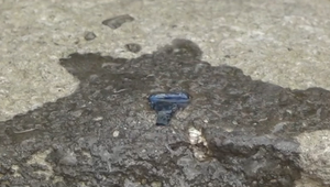 Amatérovi sa podarilo nájsť skutočný skvost. V hrude bazaltu našiel drahokam