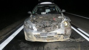 Smrteľná zrážka: Vodič vrazil do stáda 90 diviakov. Osem ich zomrelo